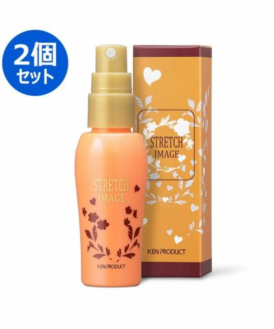 ストレッチイメージ SD メイクミスト ミストファンデーション 30ml×2本-