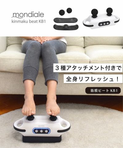 NIPLUX EMS HEAD SPA PREMIUM ニップラックス EMSヘッドスパプレミアム